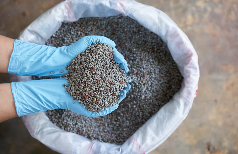 วิธีใส่ปุ๋ยเคมี