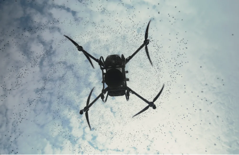 วิธีใส่ปุ๋ยพืช