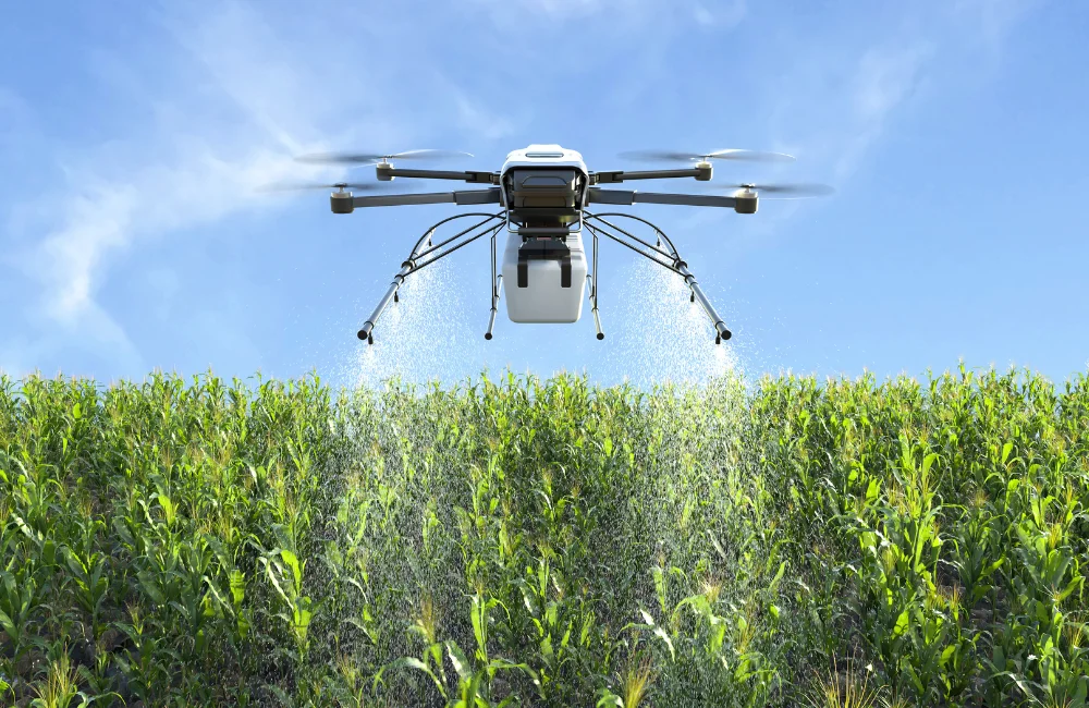 การป้องกันโรคและวิธีกำจัดศัตรูพืช