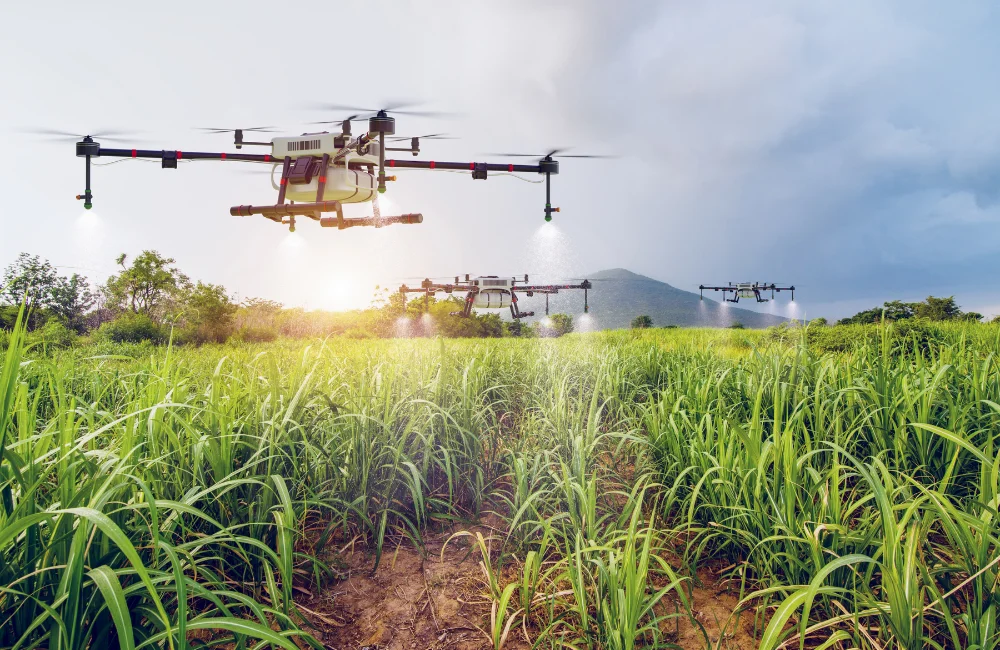 ประเภทของโดรนตามการใช้งาน