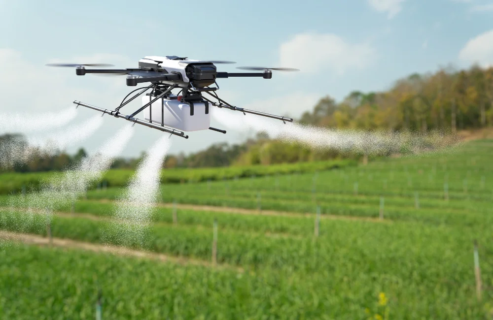 เทคนิคทำไร่มันสำปะหลัง