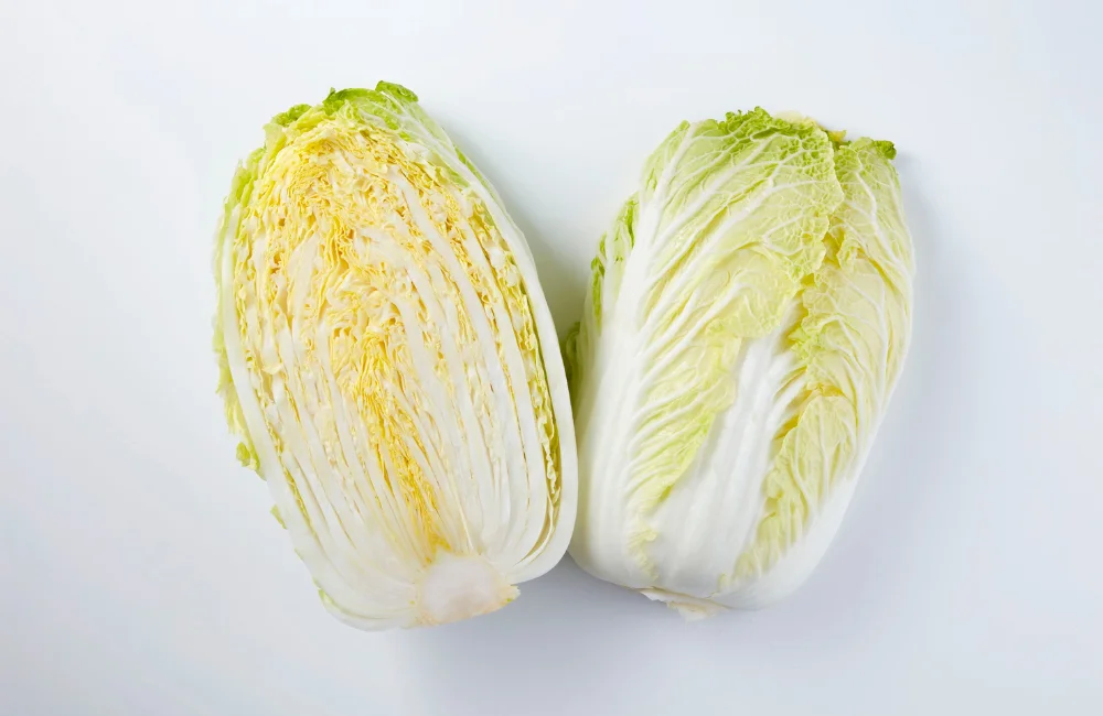 วิธีปลูกผักกาดขาวง่าย ๆ