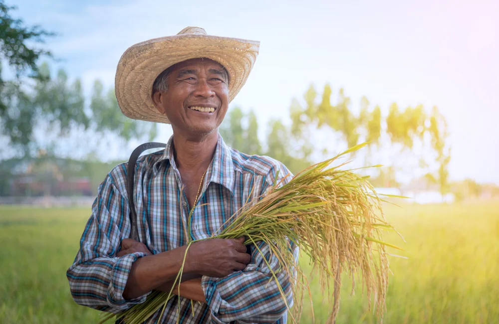 เกษตรแม่นยำสำคัญยังไง