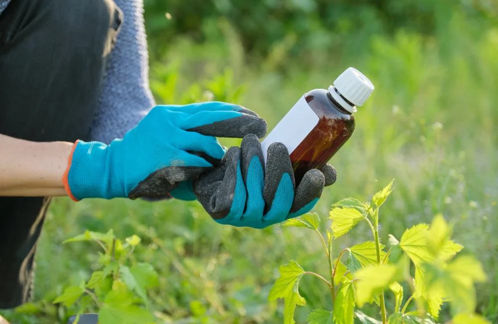 สารเคมีกำจัดแมลง มีกี่ประเภท