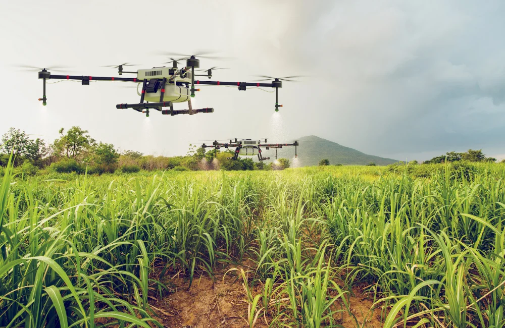 โดรนการเกษตร ราคาเท่าไหร่