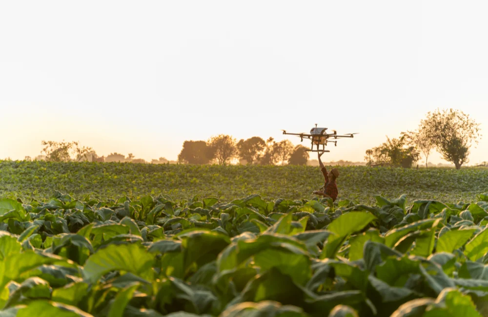 โดรนเพื่อการเกษตรแต่ละรุ่นราคาต่างกันไหม