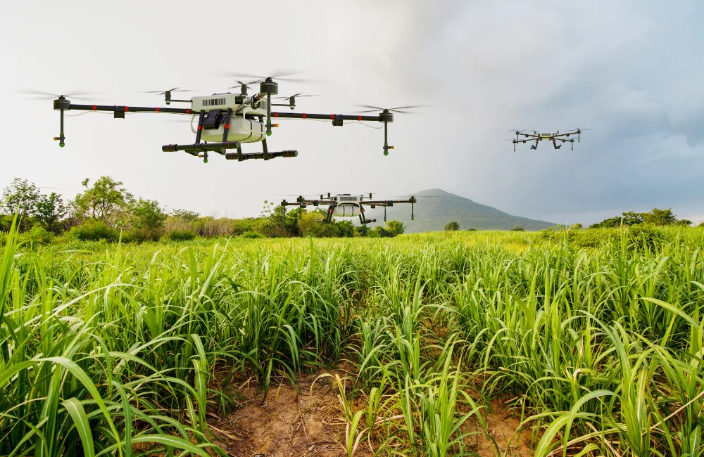 การดูแลรักษาโดรนพ่นยามีอะไรบ้าง