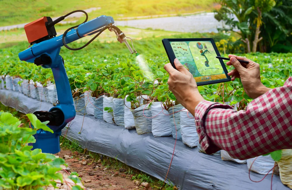 เทคโนโลยีกับการเกษตรคืออะไร