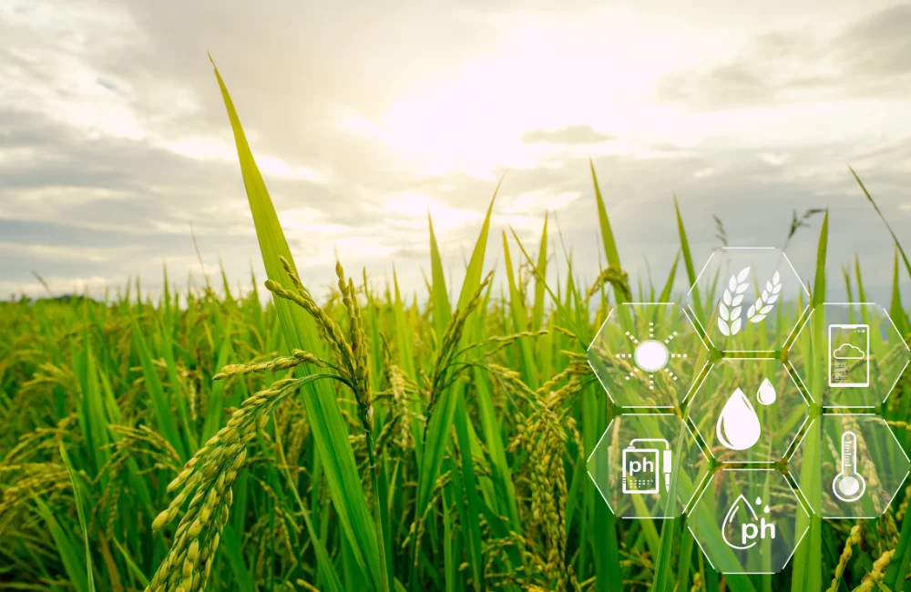 ระบบติดตามข้อมูลการผลิต