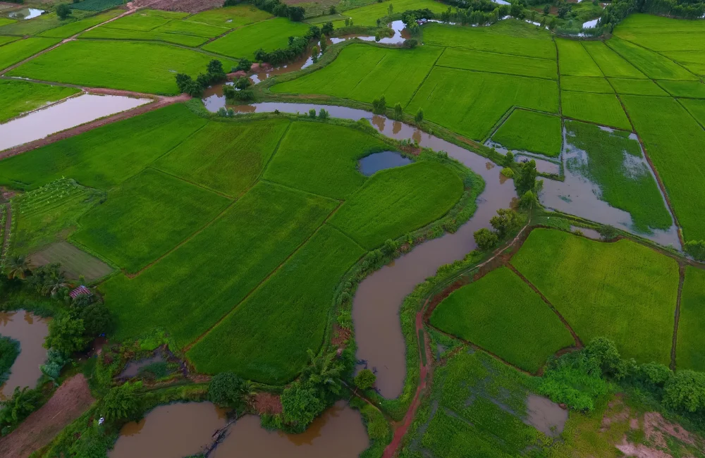เทคโนโลยีภาพถ่ายดาวเทียมในการเกษตร