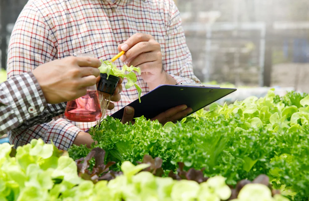 Smart Farm คืออะไร